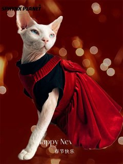 SPHYNX PLANET 无毛猫斯芬克斯德文衣服红色丝绒圣诞新年小红裙