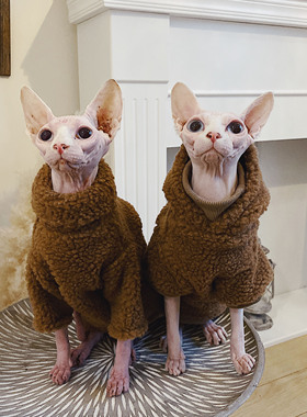 无毛猫衣服斯芬克斯猫德文柯尼斯宠物保暖冬款加厚驼色羊羔毛卫衣