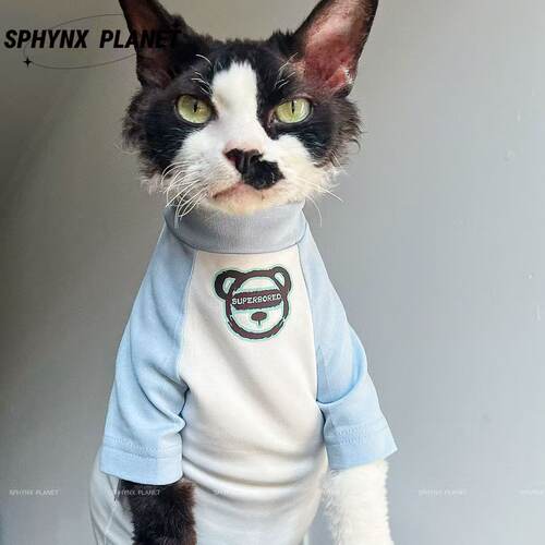 无毛猫德文猫衣服春秋复古纯棉
