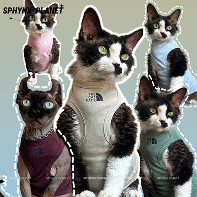 德文无毛猫斯芬克斯猫衣服夏秋