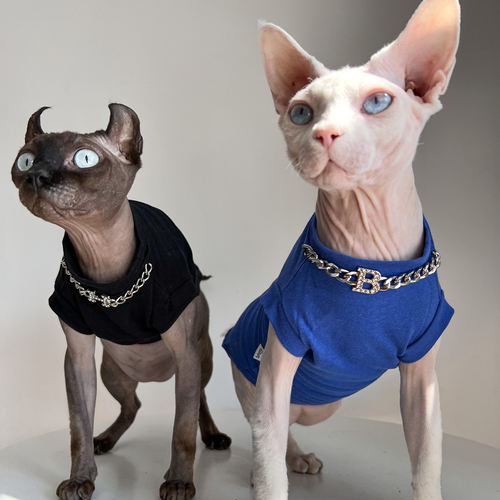 无毛猫星球德文衣服夏季薄款短袖