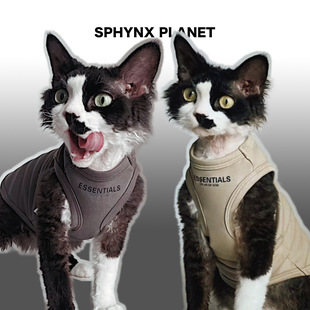 纯棉潮牌美式 德文无毛斯芬克斯猫衣服夏季 宠物背心 PLANET SPHYNX