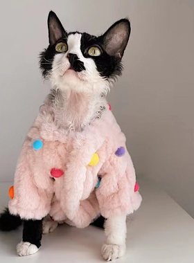 SPHYNX PLANET 斯芬克斯无毛猫德文猫衣服冬季新可爱保暖猫咪衣服