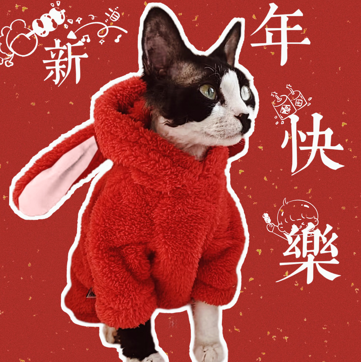 无毛猫星球德文新款兔子款保暖