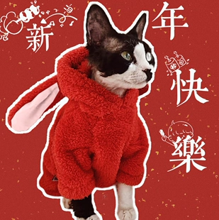 斯芬克斯无毛猫可爱兔子冬季 PLANET 衣服 SPHYNX 德文猫衣服新年款