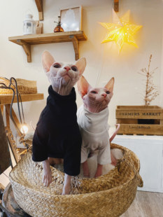 无毛猫衣服 斯芬克斯德文柯尼斯纯棉防过敏秋冬黑白打底衫T恤百搭