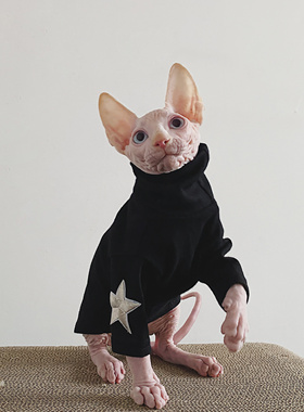 无毛猫衣服 斯芬克斯 德文弹性纯棉防过敏秋冬港风潮星星T恤打底