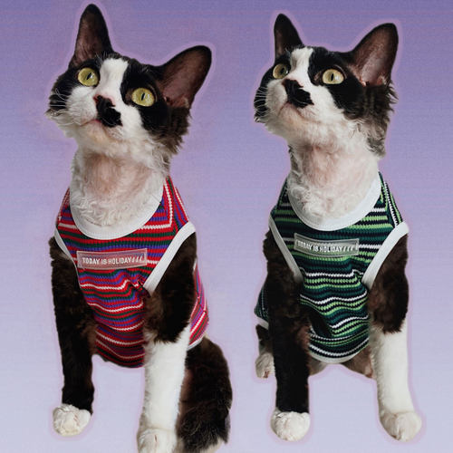 无毛猫星球德文衣服条纹可爱