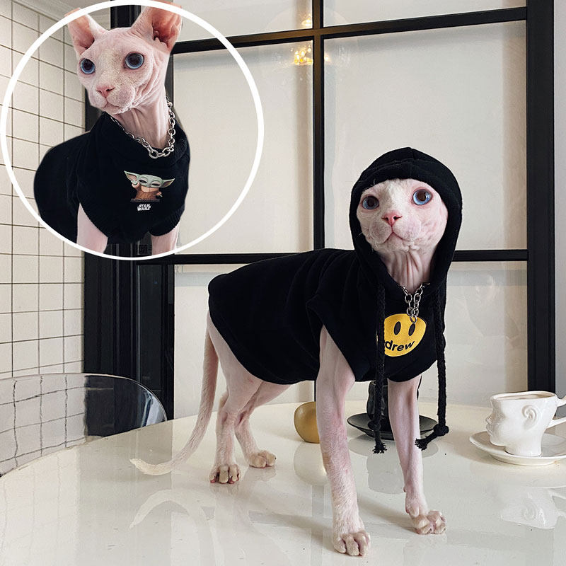 德文柯尼斯加绒加厚矮脚无毛猫图片