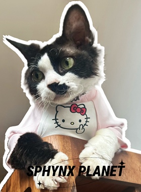 SPHYNX PLANET德文猫无毛猫斯芬克斯猫衣服春秋复古可爱潮流风格