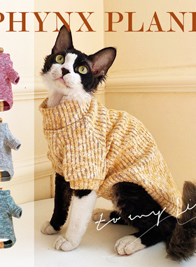 无毛猫衣服德文斯芬克斯高领加厚保暖耐抓耐舔弹力秋冬打底毛衣