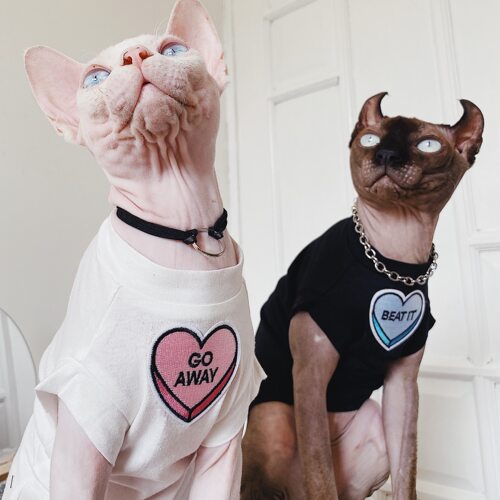 春夏无毛猫衣服德文矮脚开情侣款