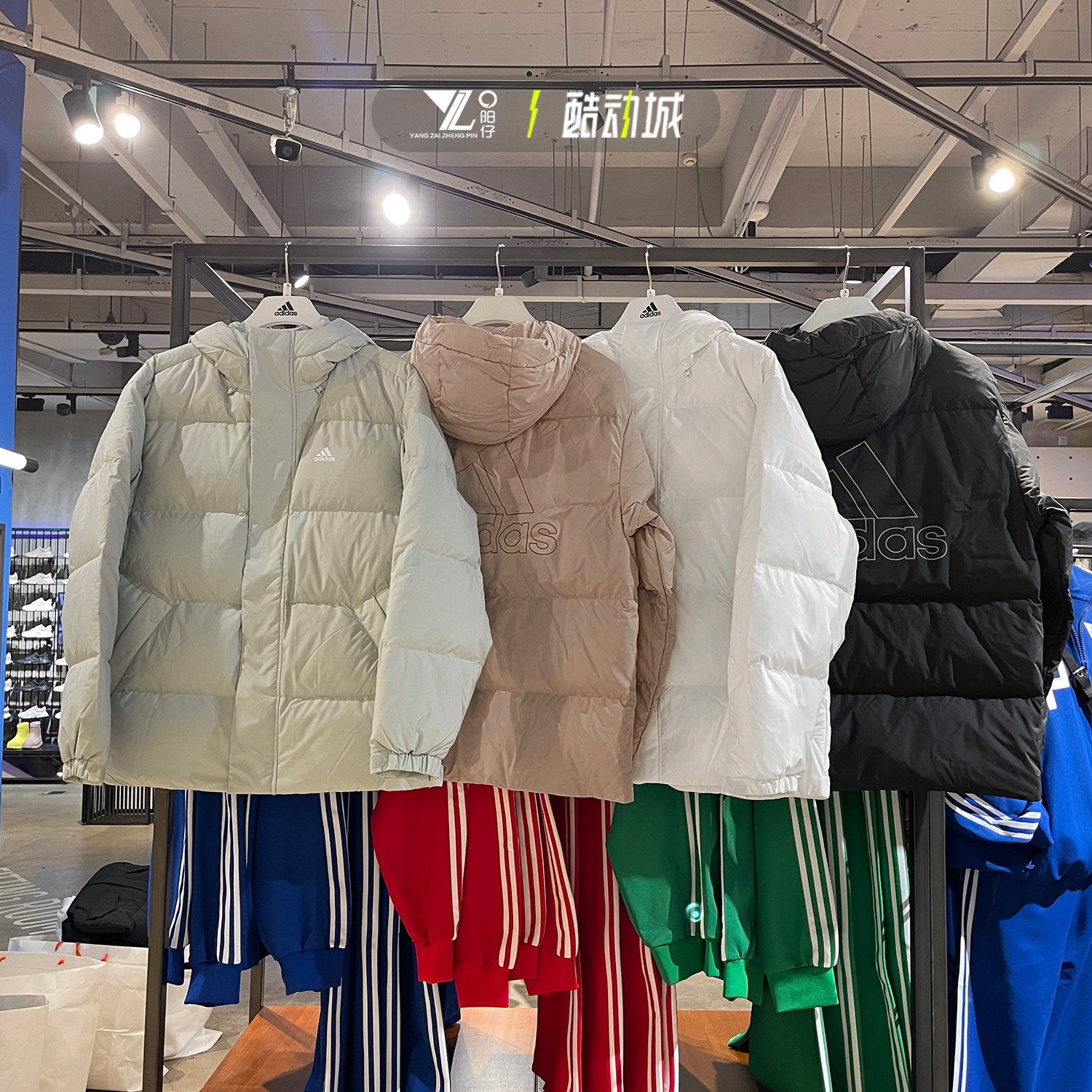 阿迪达斯男运动保暖羽绒服外套