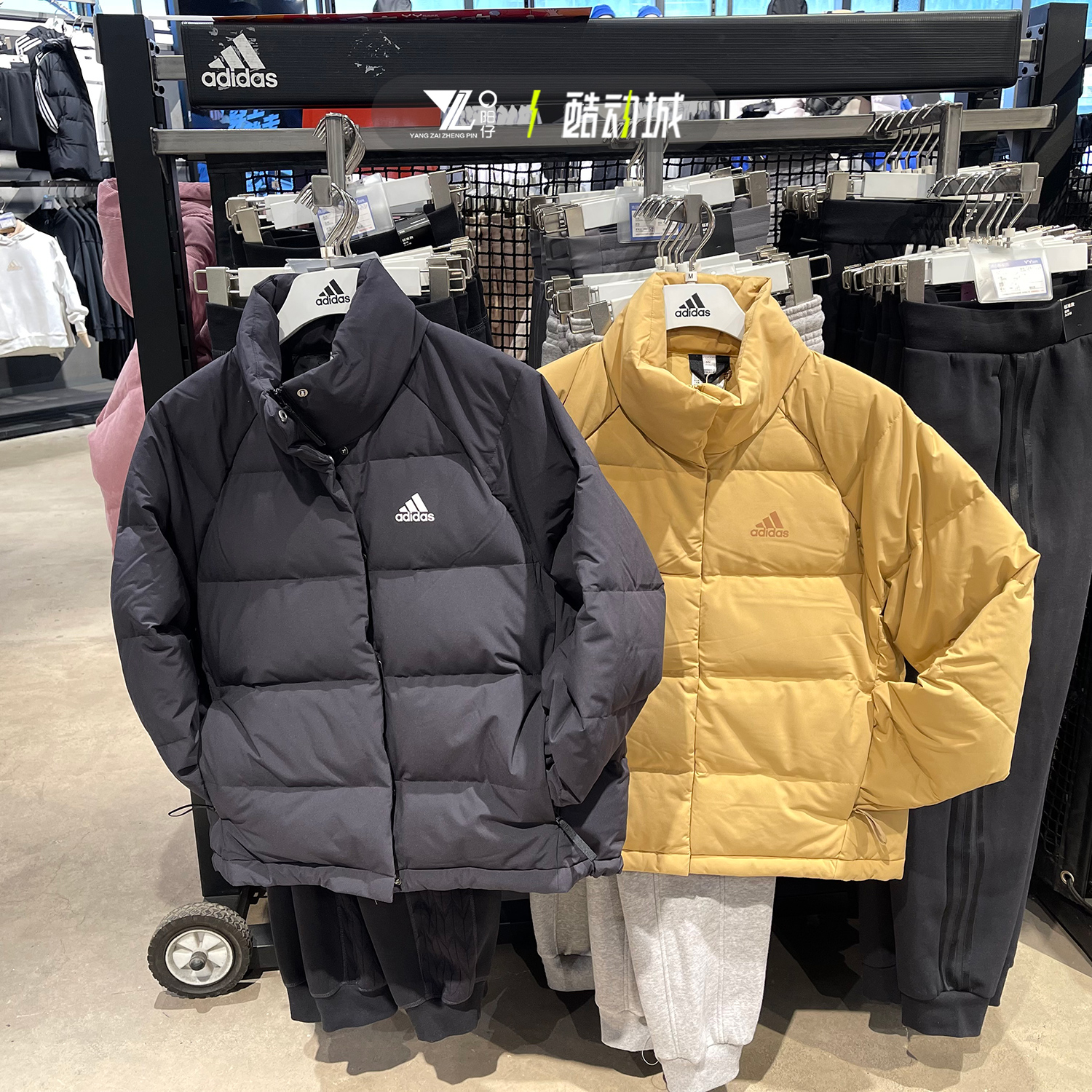 外套运动羽绒服Adidas保暖连帽
