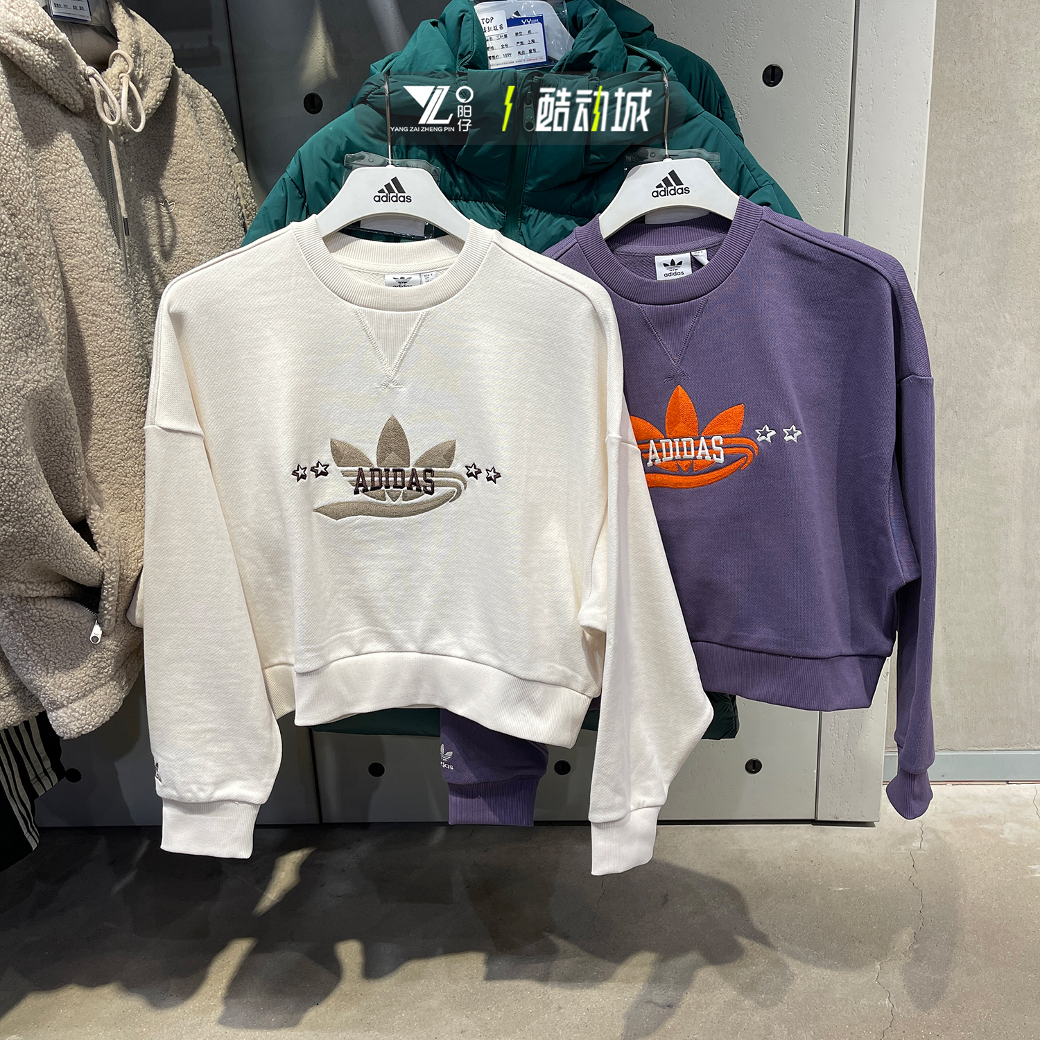 阿迪达斯女运动休闲针织圆领卫衣