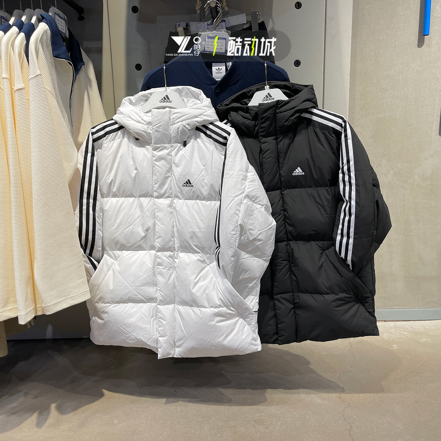 正品阿迪达斯男运动连帽羽绒服