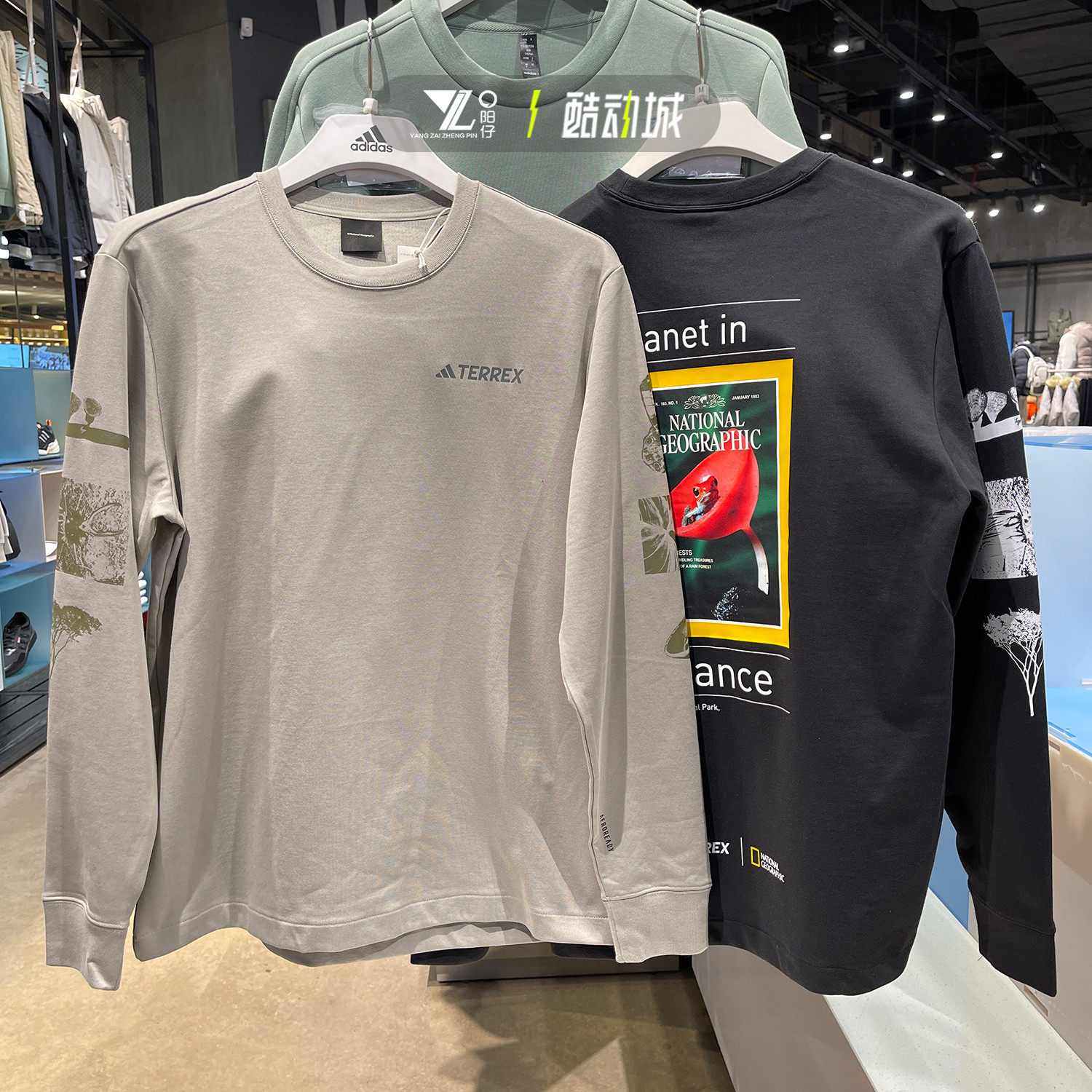 阿迪达斯男运动休闲针织长袖T恤