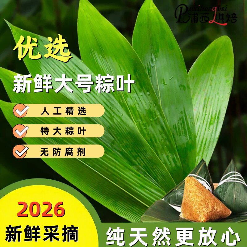 粽子叶粽叶新鲜箬叶真空包装端午节包粽子大叶子材料大号天然竹子