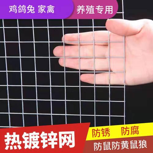 热镀锌铁丝网围栏防鼠封窗防猫防坠网养殖鸡鸭鸽兔笼不锈钢丝网格