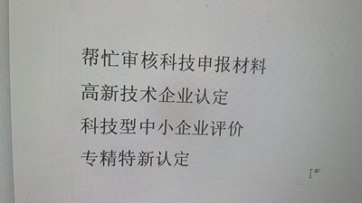 帮忙审核科技项目高新技术企业认定专精特新中小企业等等项目