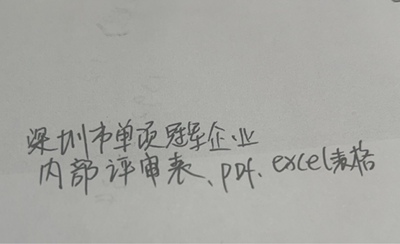 深圳市单项冠军企业内部评审表pdf和表格形式评分表