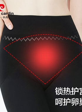 皮尔卡丹PC3619 厚型抗菌苹果臀面膜裤火神绒暖宫保暖连裤袜69019