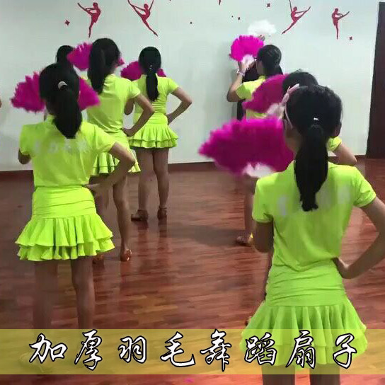 festival thickening Feather fan Performing fan dance Fan cheongsam Catwalk children adult stage propin the Home Daily , Fan/Mini Fan/Fitting/Ice pad/Ice stickers , Fan  category - from Buy2taobao.com to provide professional Taobao agent buy service