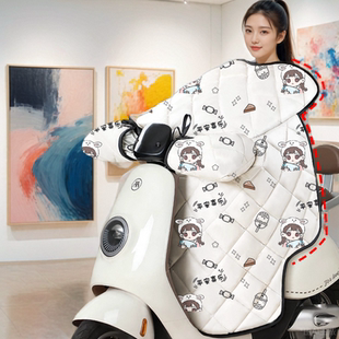 三阳DRG150/158摩托车冬季挡风被加绒加厚踏板电瓶冬款防雨防风罩