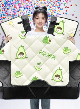 爱玛爱琪miniQB50电动车冬季挡风被加绒加厚电瓶车冬款防雨防风罩