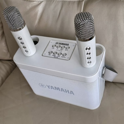 雅马哈户外蓝牙音箱家庭无线K歌多功能蓝牙音响套装连接电视户外