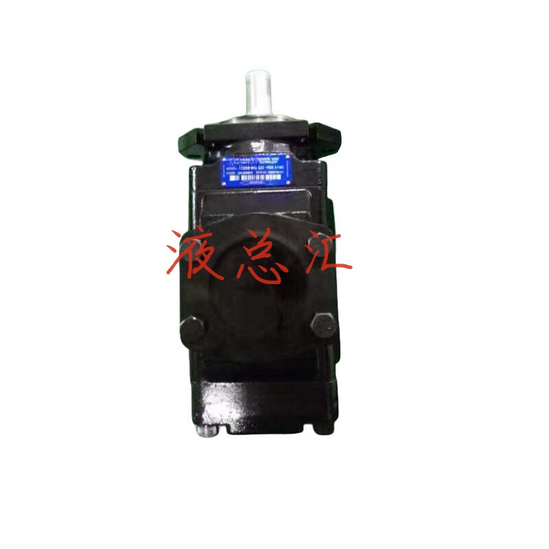 T7DDS E42 E20 1R00 A1M0 叶片泵注塑机液压高压定量双联伺泵高压