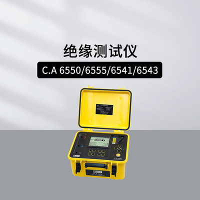 法国CA1kV5量程绝缘测试仪CA654X