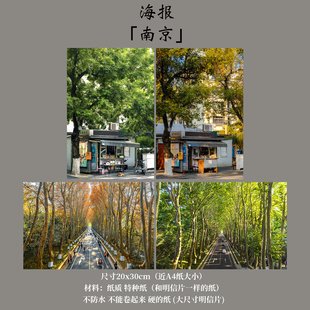 海报「南京」渲染翌嘉原创摄影梧桐大道 报刊亭礼物墙面装饰贺卡
