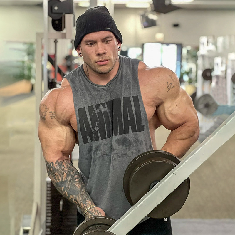 环球野兽硬核背心健身男宽松透气坎肩T恤棉夏季运动大码训练无袖,运动服/休闲服装,健身衣,淘宝优惠券,粉丝福利购,淘宝优惠卷