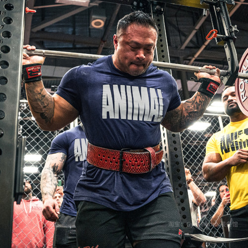 环球野兽ANIMAL短袖牢笼赛T恤男