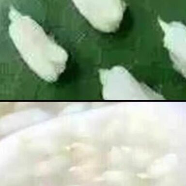 拍三送一山西特产仓斗优质营养有机全胚芽裸燕麦米500克杂粮免洗