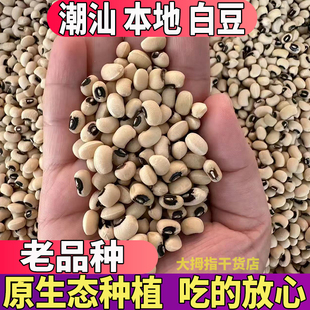 潮汕农家白豆干货2斤装白眉豆白缸豆白豆白饭豆种孑煲汤新货干豆