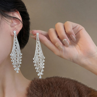 韩国东大门新款镶钻流苏耳环轻奢高级感气质耳钉夸张个性小众耳饰