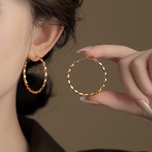 韩国新款 百搭高级感耳饰 扭曲圆形冷淡风耳环简约轻奢气质耳圈时尚