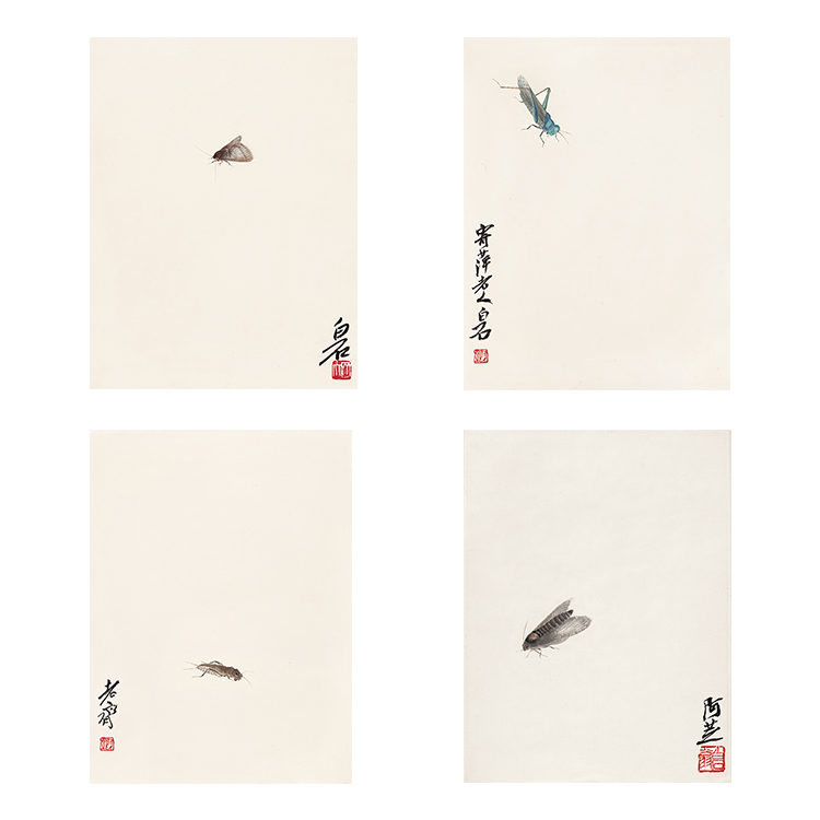 新款册页虫草装饰画齐白石竖幅系列24张国画画心宣纸名人字画微喷