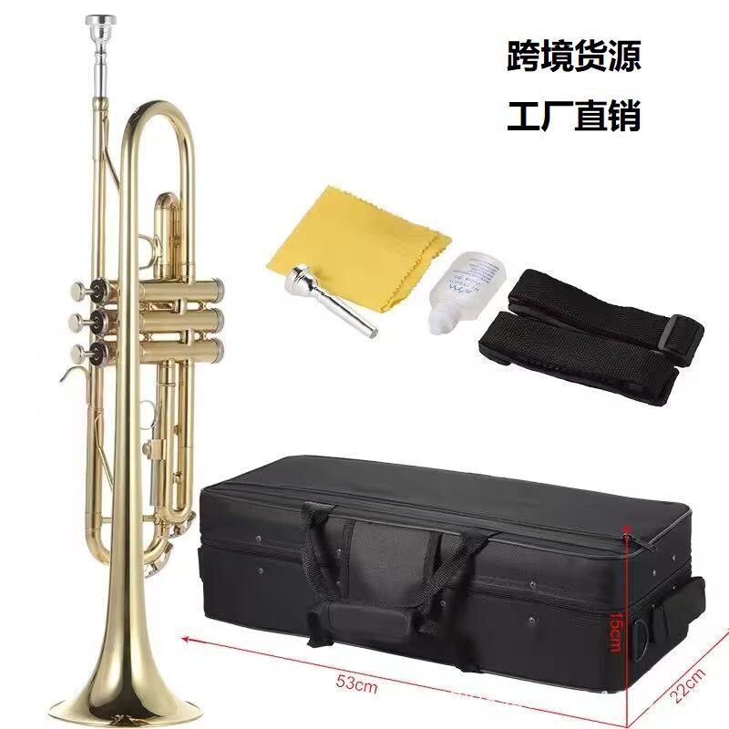 专业小号乐器降B调三音小号黄铜材质初学演奏考级学校精选推荐