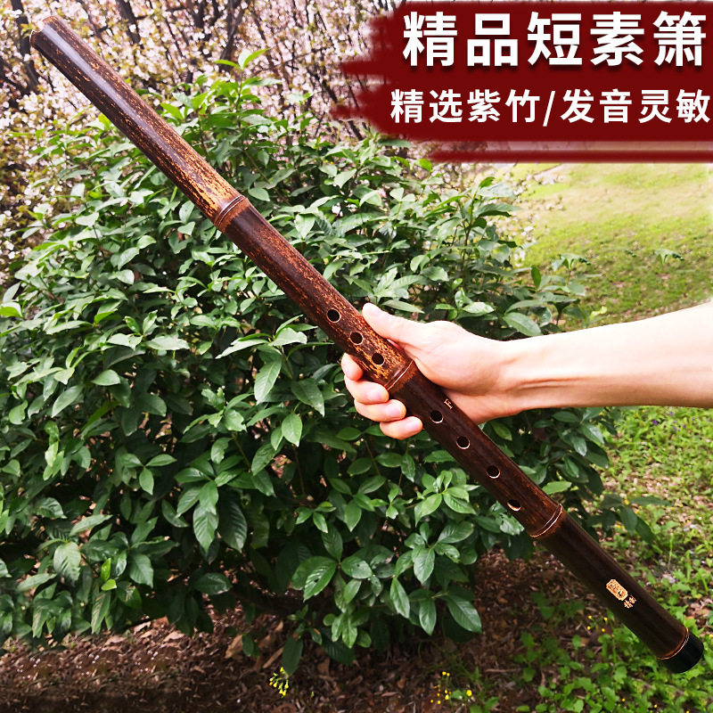 紫竹一节短萧古风古萧专业演奏洞箫八孔成人初学入门素萧新手乐器