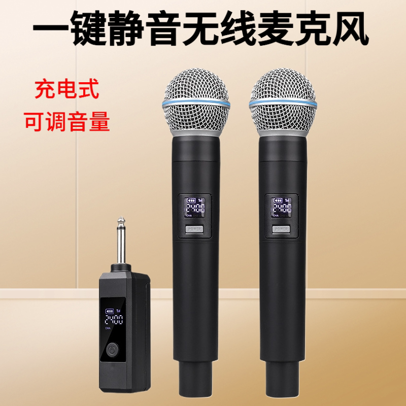 无线麦克风一拖二声卡音响直播唱歌充电话筒户外舞台演出外贸热销