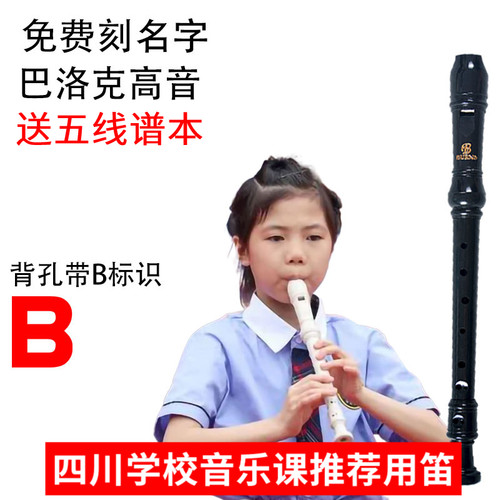 巴洛克式专业英式竖笛8孔C调高音竖笛子乐器带B标识B调演奏环保