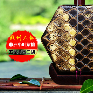 大皮非洲小叶紫檀演奏二胡考级学习专用送配件金花蟒皮二胡乐器