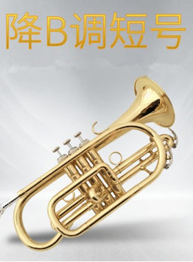 铜管吹奏乐器降B调短号乐器小号乐器专业演奏表面漆金厂家