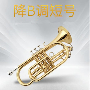 铜管吹奏乐器降B调短号乐器小号乐器专业演奏表面漆金厂家