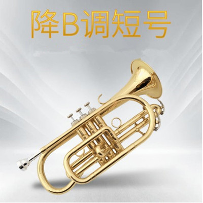 铜管吹奏乐器降B调短号乐器小号乐器专业演奏表面漆金厂家
