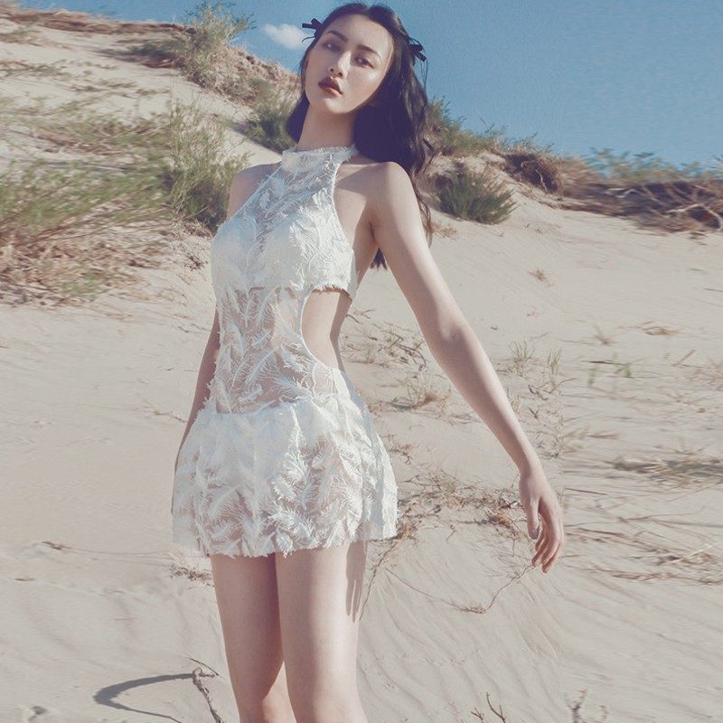 bikini连体保守聚拢小胸温泉裙式遮肚显瘦性感女羽毛裙式游泳衣夏