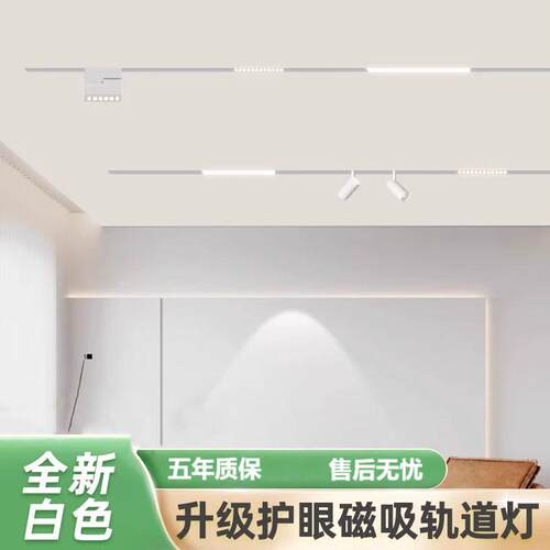 白色磁吸轨道灯明装泛光灯